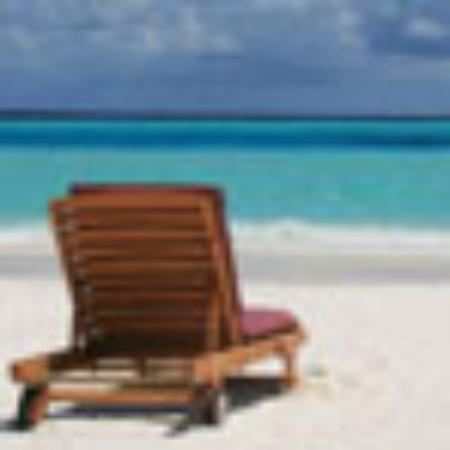 Taste Ribs Beef Ribs